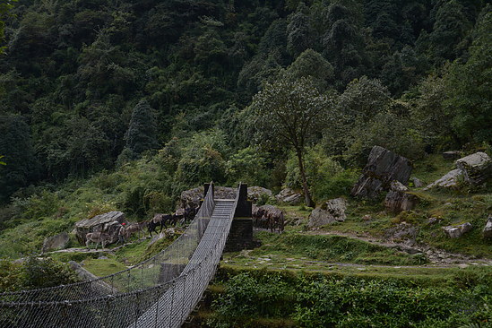 DSC_2464