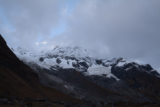 DSC_2535
