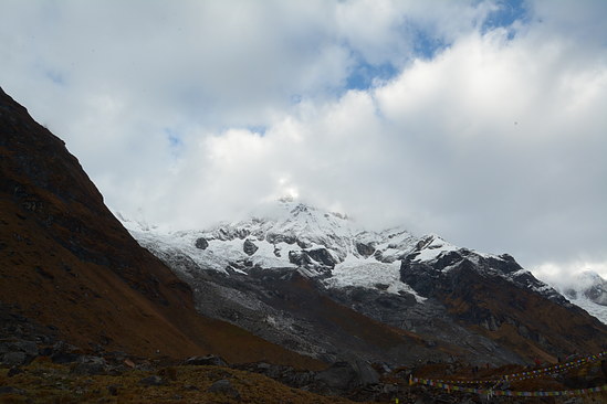 DSC_2600
