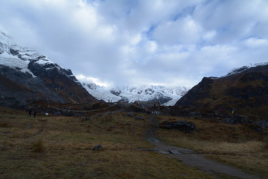 DSC_2606