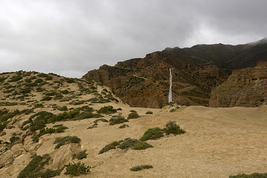 DSC_4034