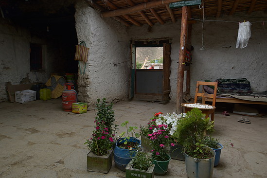 DSC_4081