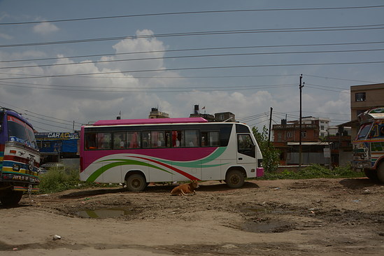 DSC_3728