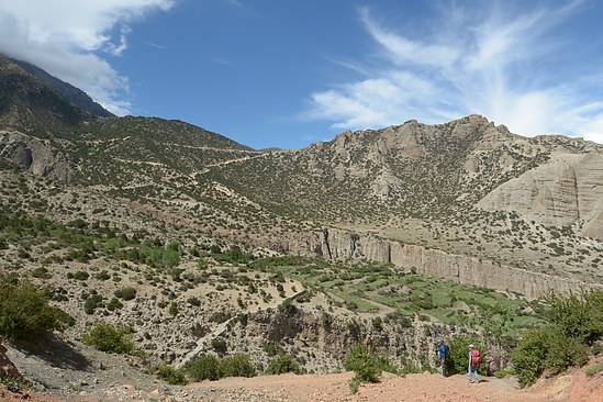 DSC_4005