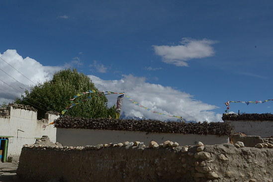 DSC_4243