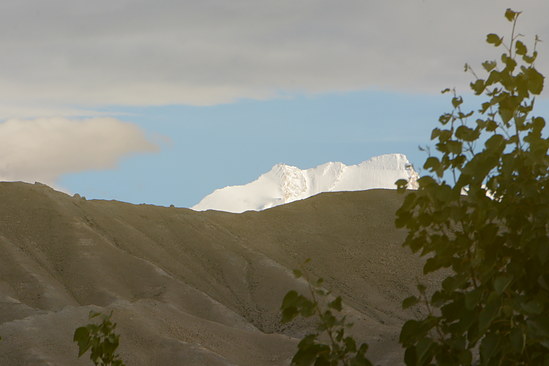 DSC_4284