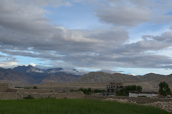 DSC_4305