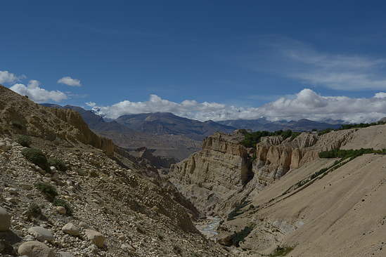 DSC_4315