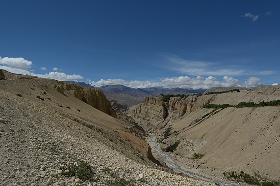 DSC_4321