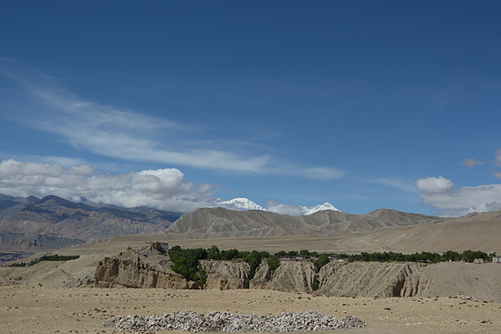 DSC_4329