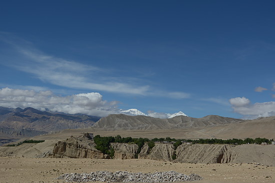 DSC_4331