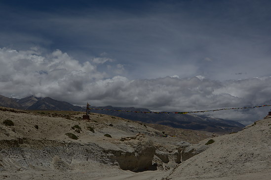 DSC_4352