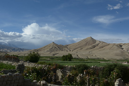 DSC_4378
