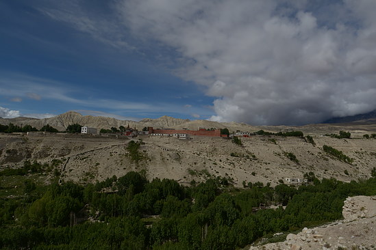 DSC_4400