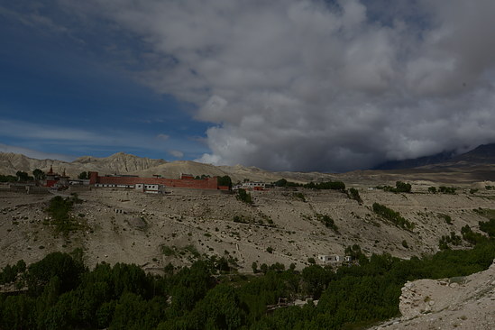 DSC_4401
