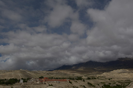 DSC_4403