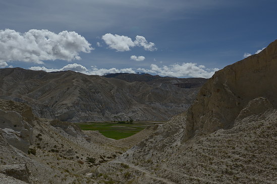 DSC_4405