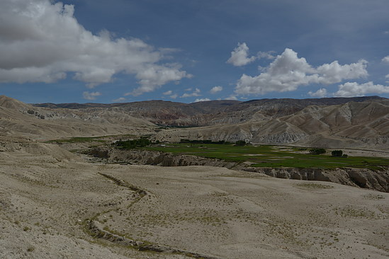DSC_4406