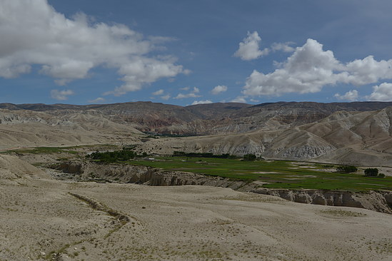 DSC_4407