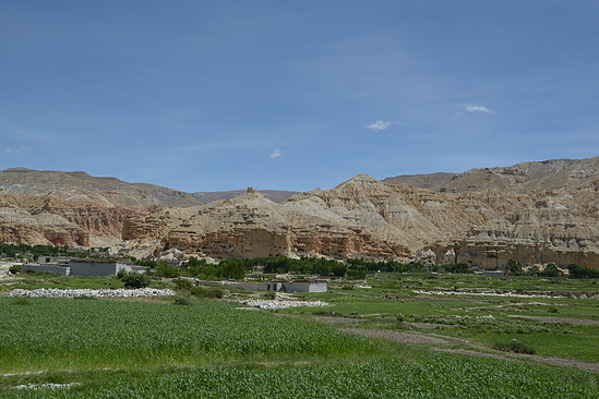 DSC_4418