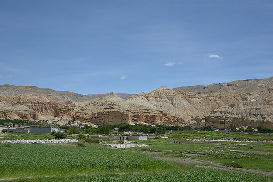 DSC_4419