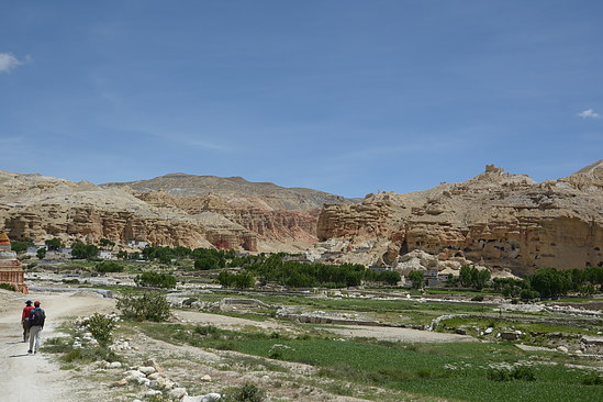 DSC_4423