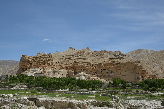 DSC_4428