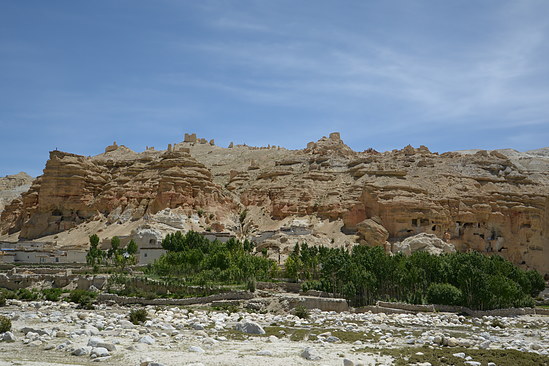 DSC_4430