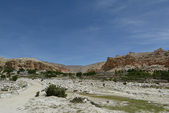 DSC_4431