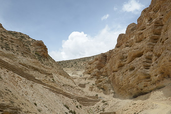 DSC_4504